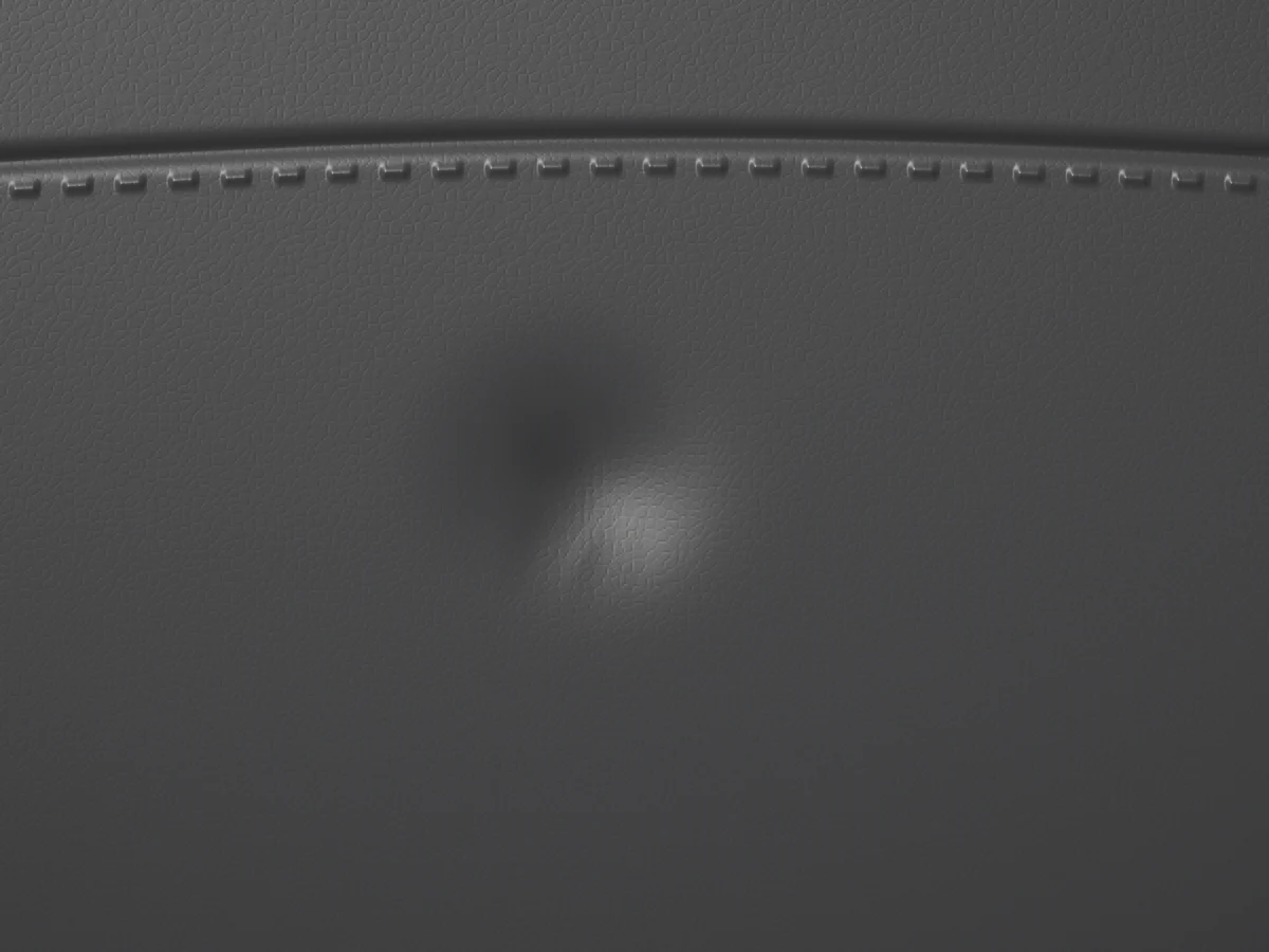 Close-up of the protein-leather cushion surface with a soft press mark.